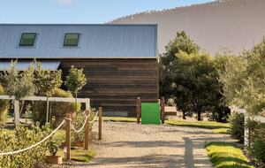Hillside Retreat Among a Premier Tasmanian Olive Grove - Kellevie, Australia