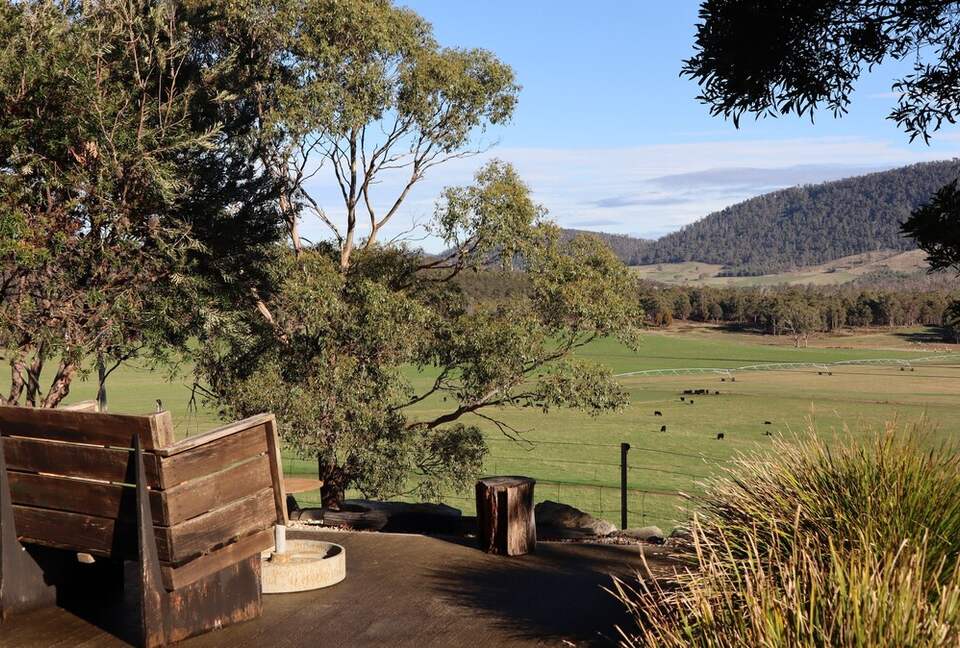 Hillside Retreat Among a Premier Tasmanian Olive Grove - Kellevie, Australia