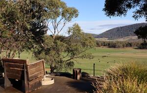 Hillside Retreat Among a Premier Tasmanian Olive Grove - Kellevie, Australia