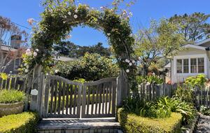 Point Taken - Carmel, California