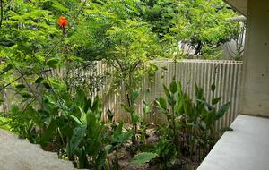 Exclusive Coastal Retreat in Puerto Escondido - Santa María Colotepec, Mexico