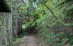 Tranquil Two-Level Retreat on the Shores of Tappen - Tappen, Canada