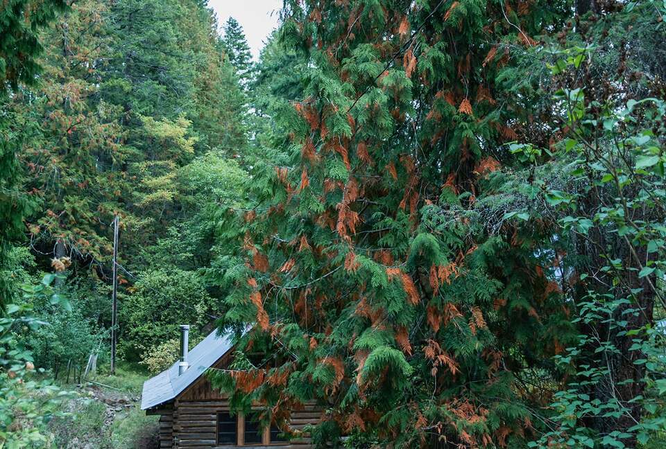 Tranquil Two-Level Retreat on the Shores of Tappen - Tappen, Canada