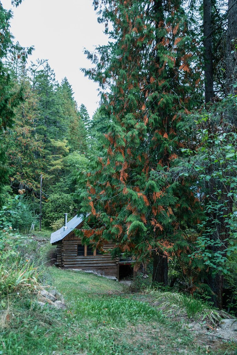 Tranquil Two-Level Retreat on the Shores of Tappen - Tappen, Canada