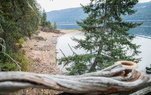 Tranquil Two-Level Retreat on the Shores of Tappen - Tappen, Canada