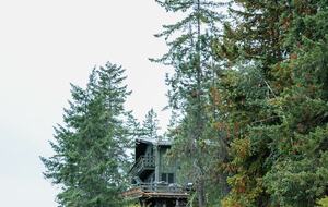 Tranquil Two-Level Retreat on the Shores of Tappen - Tappen, Canada