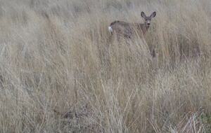 Gateway to the National Parks - Kanab, Utah