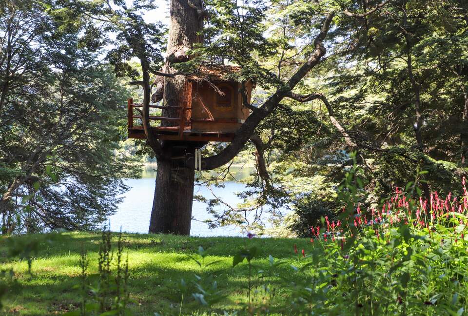 Argentinian Amazement with Boundless Access to Nature and Close to Catedral Skiing! - Bariloche, Argentina