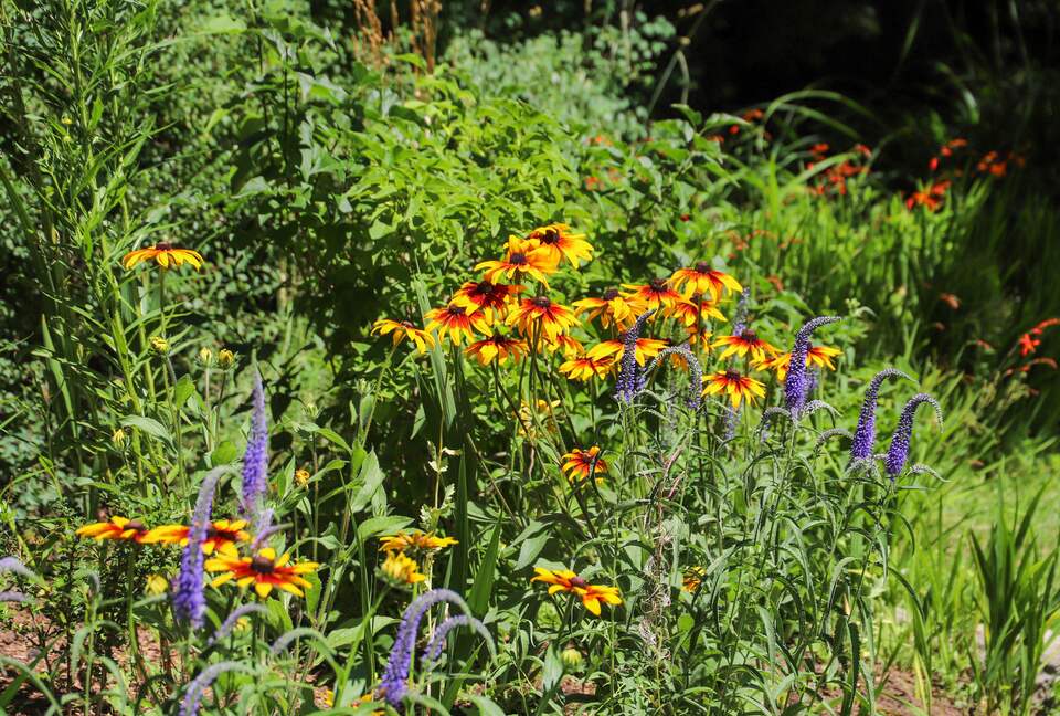 Argentinian Amazement with Boundless Access to Nature and Close to Catedral Skiing! - Bariloche, Argentina