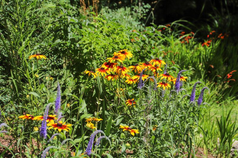 Argentinian Amazement with Boundless Access to Nature and Close to Catedral Skiing! - Bariloche, Argentina