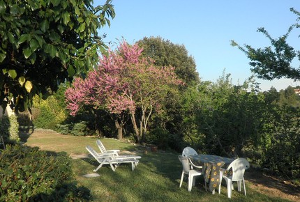 Beautiful French Farmhouse in Provence - Aups, France