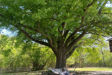 Charmed by History | A Pair of Thoughtfully Restored Retreats - Loganville, Georgia
