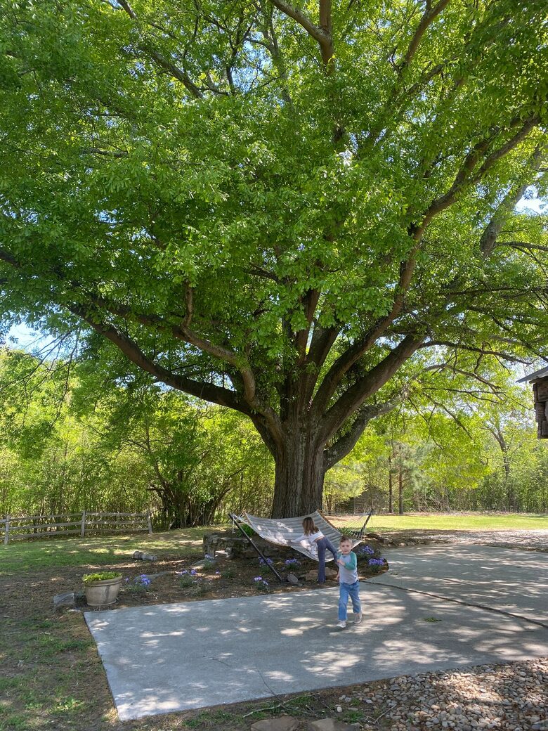 Charmed by History | A Pair of Thoughtfully Restored Retreats - Loganville, Georgia