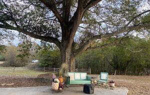 Charmed by History | A Pair of Thoughtfully Restored Retreats - Loganville, Georgia