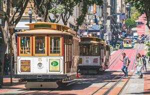 Refined Retreat Steps from Iconic Views - Tiburon, California