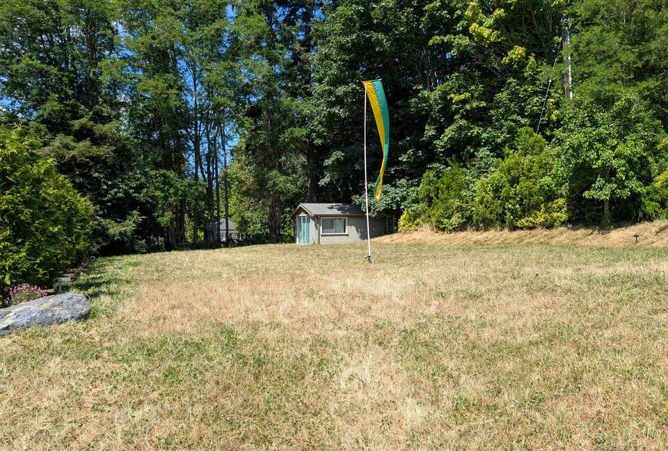 Back field looking north