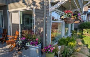 Front of house with landscaping