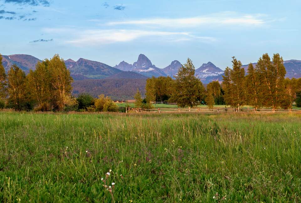 Epic unobstructed views of the 3 peaks of the Tetons