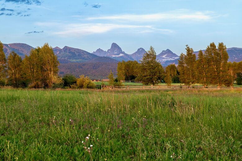 Epic unobstructed views of the 3 peaks of the Tetons