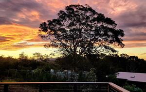 Alkira @ Bawley - brand new home, walk to beach - Bawley Point, Australia