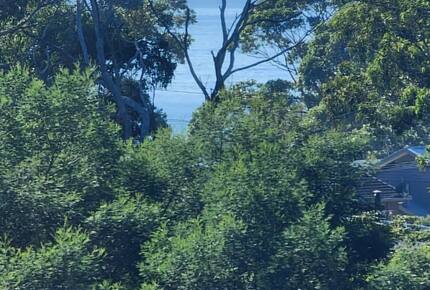 Alkira @ Bawley - brand new home, walk to beach - Bawley Point, Australia