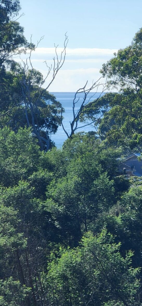 Alkira @ Bawley - brand new home, walk to beach - Bawley Point, Australia