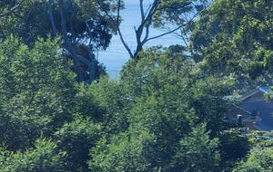 Alkira @ Bawley - brand new home, walk to beach - Bawley Point, Australia