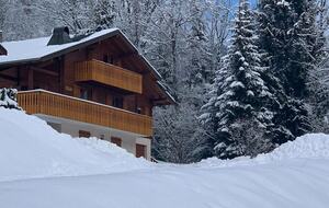 Elegant Alpine Chalet with Panoramic Mountain Views - Abondance, France