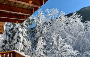 Elegant Alpine Chalet with Panoramic Mountain Views - Abondance, France