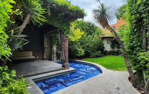 Hacienda-style sanctuary with pool, lush courtyard, and gourmet kitchen. - San Miguel de Allende, Mexico