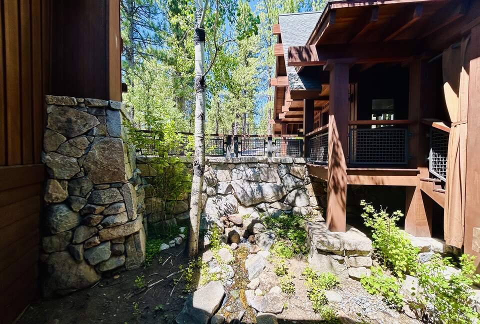 Outdoor water feature & native garden at entrance to house