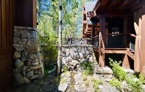 Outdoor water feature & native garden at entrance to house