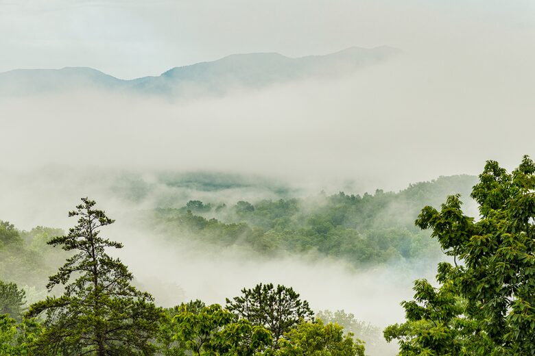 Rhinestone Retreat | A Stylish Mountain Escape Inspired by Dolly - Gatlinburg, Tennessee