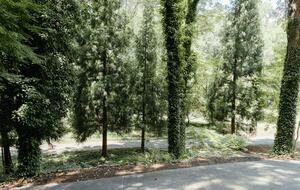 Expansive Hideaway in the Heart of Shelby - Shelby, North Carolina