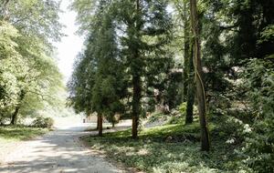 Expansive Hideaway in the Heart of Shelby - Shelby, North Carolina