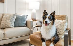 Refined Comfort near 30A’s Best Beaches - Santa Rosa Beach, Florida