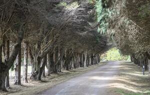 A Grand Retreat on 100 Rolling Acres - Moss Vale, Australia