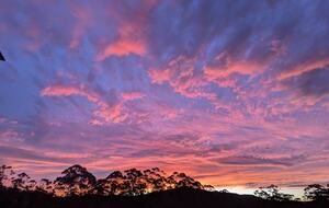 Sophisticated Escape in the Heart of Nature - Beaumont, Australia