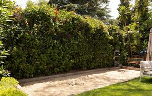 Ultimate Luxury Retreat in the Heart of the French Riviera - Cannes, France