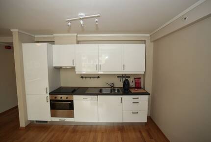 Spacious City Apartment in Bergen’s Most Picturesque Neighborhood - Bergen, Norway