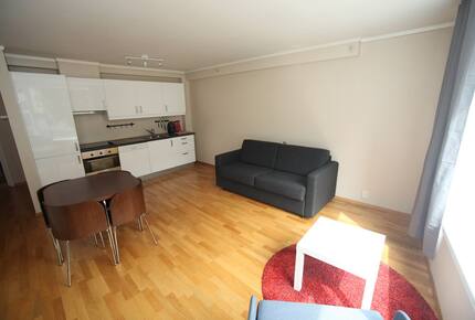 Spacious City Apartment in Bergen’s Most Picturesque Neighborhood - Bergen, Norway