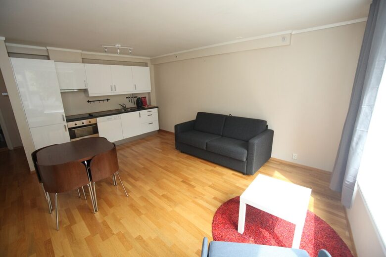 Spacious City Apartment in Bergen’s Most Picturesque Neighborhood - Bergen, Norway