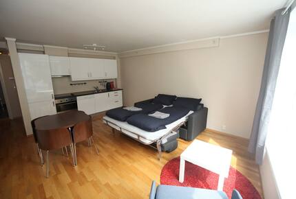 Spacious City Apartment in Bergen’s Most Picturesque Neighborhood - Bergen, Norway