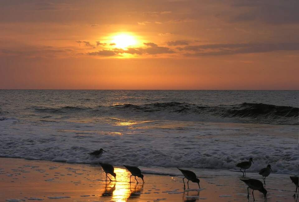 Stunning Seaside Retreat on St Simons Island - Saint Simons Island, Georgia