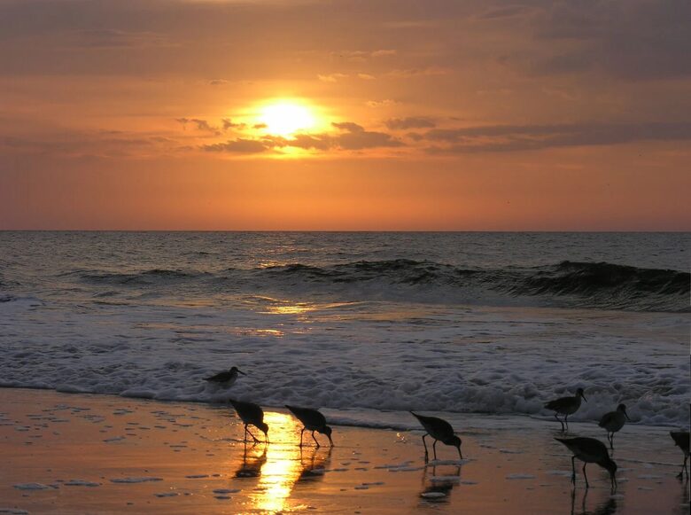 Stunning Seaside Retreat on St Simons Island - Saint Simons Island, Georgia