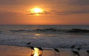 Stunning Seaside Retreat on St Simons Island - Saint Simons Island, Georgia
