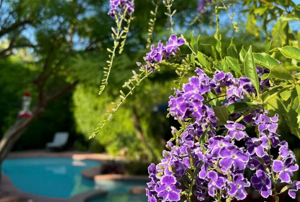 A Charming 1930s Spanish Hideaway near downtown Palm Springs - Palm Springs, California