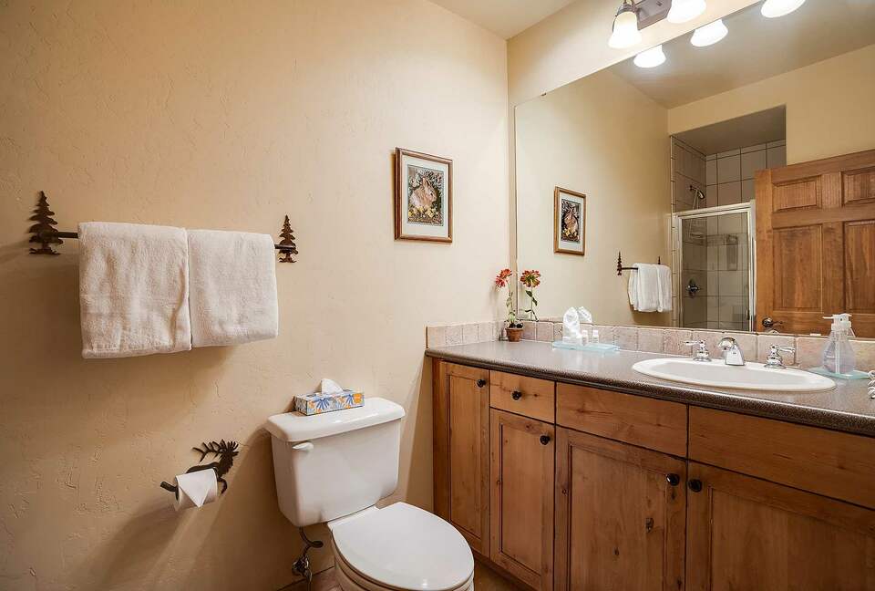 Exquisite Four-Bedroom Residence with Premier Resort Access - Steamboat Springs, Colorado