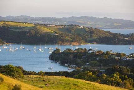 Sunsets & Sea Breezes Above Palm Beach - Waiheke Island, New Zealand