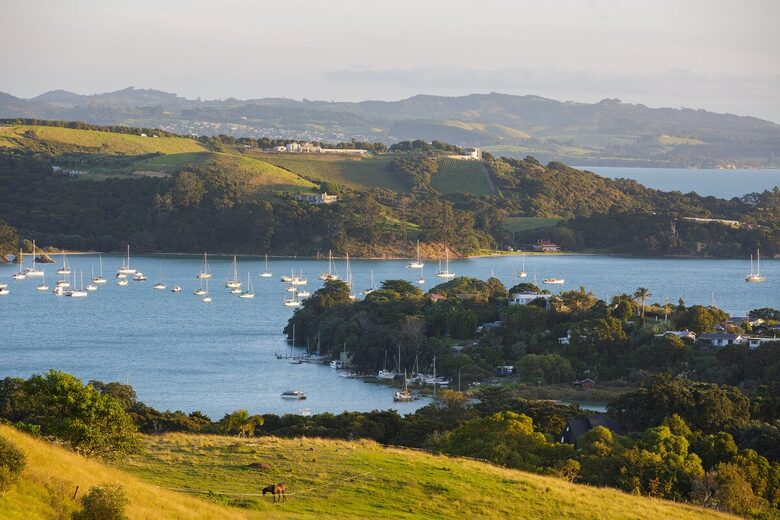 Sunsets & Sea Breezes Above Palm Beach - Waiheke Island, New Zealand
